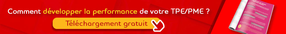 livre-blanc-tpe-pme