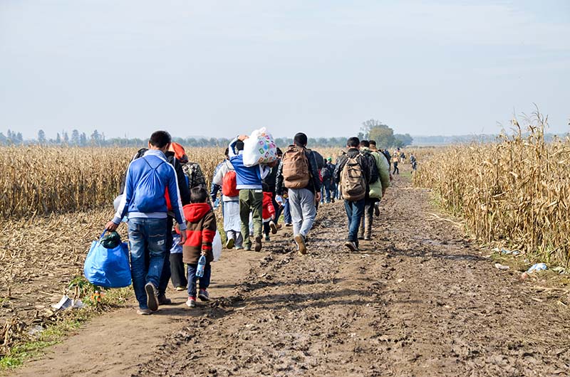 Populations en déplacement forcé